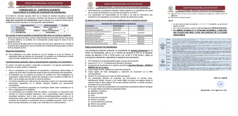 📌COMUNICADO 43 – CONTRATO DOCENTE Convocatoria a la etapa por evaluación de expedientes.