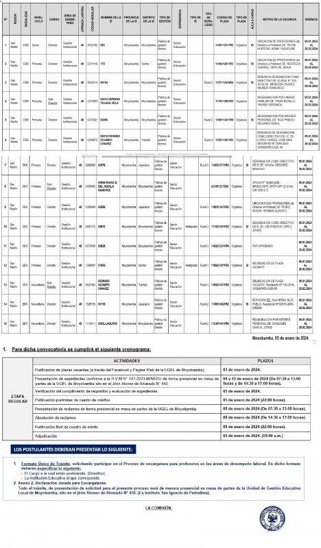 COMUNICADO N&deg; 001-2024- ENCARGATURA