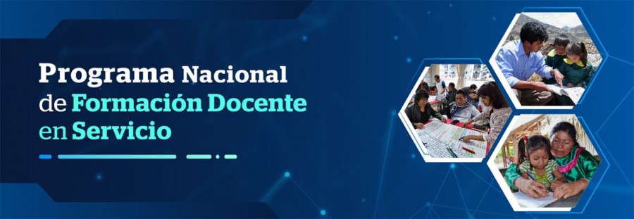 PROGRAMA NACIONAL DE FORMACION DOCENTE EN SERVICIO