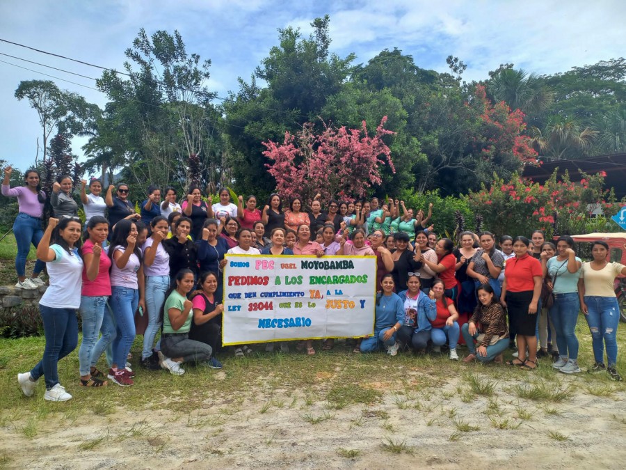 fortaleciendo las capacidades pedag&oacute;gicas de las Promotoras Educativas Comunitarias del Programa No Escolarizado de Educaci&oacute;n Inicial - PRONOEI ciclo I y II